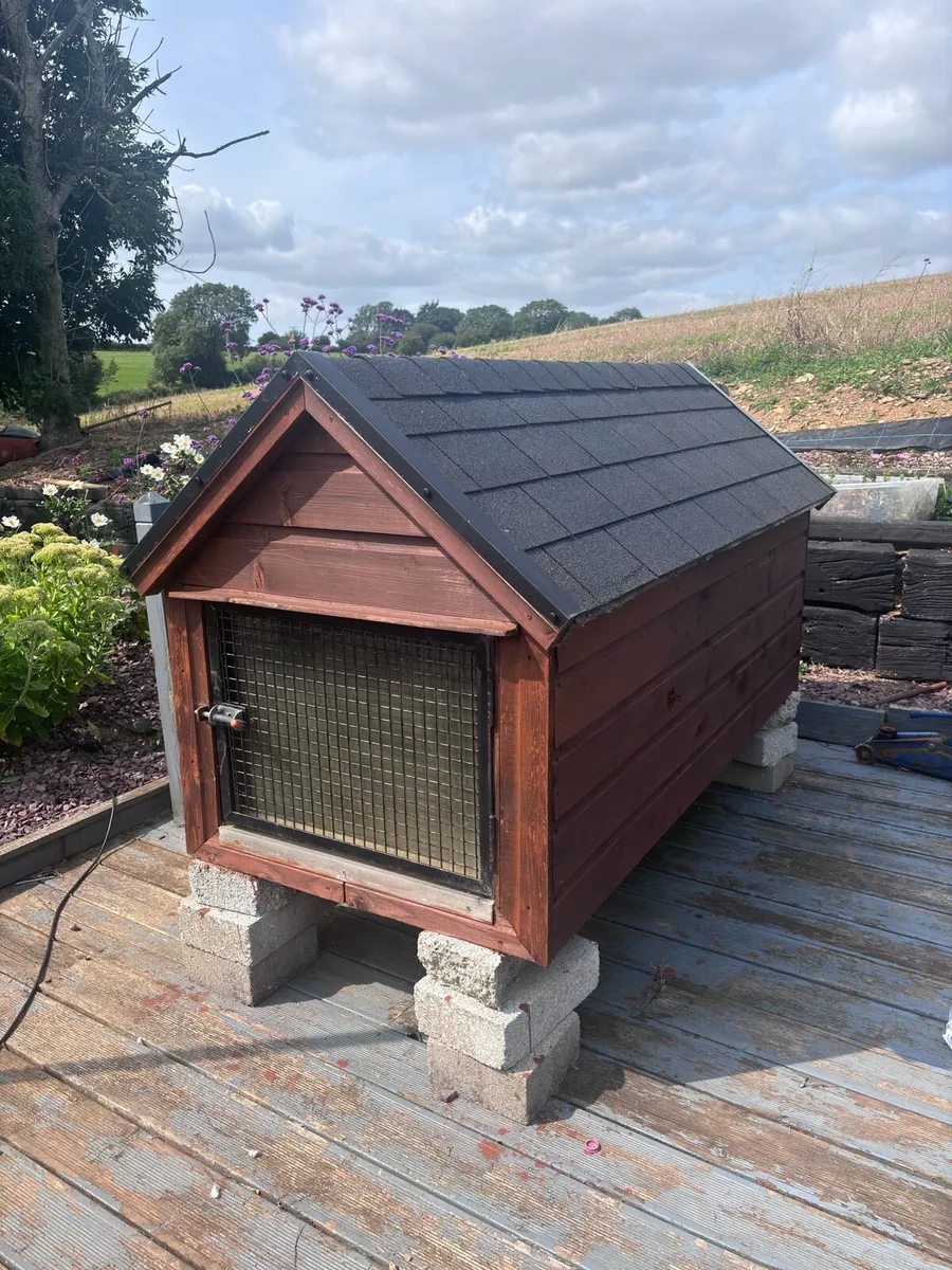 Large dog house - Image 1