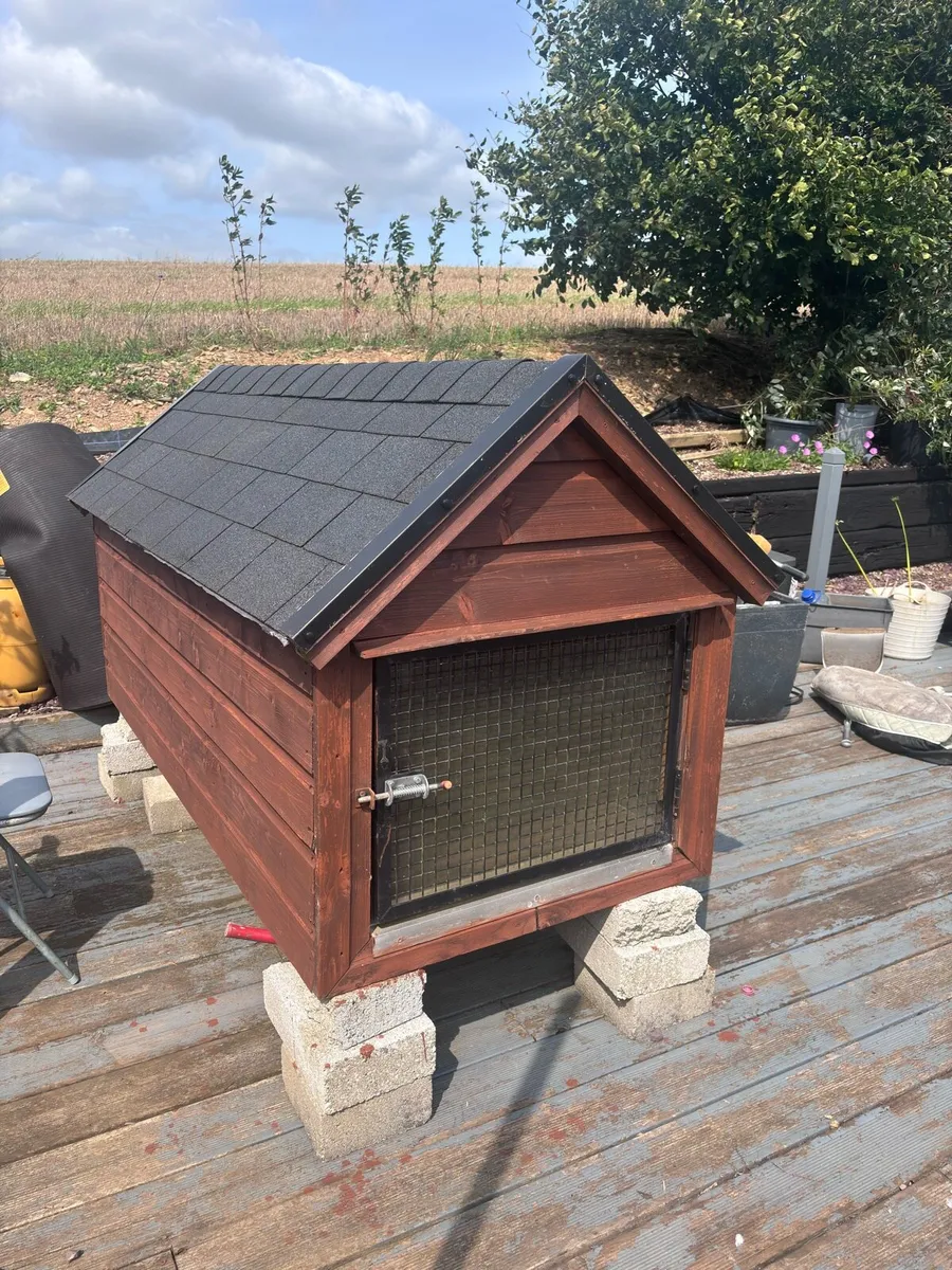 Large dog house - Image 2