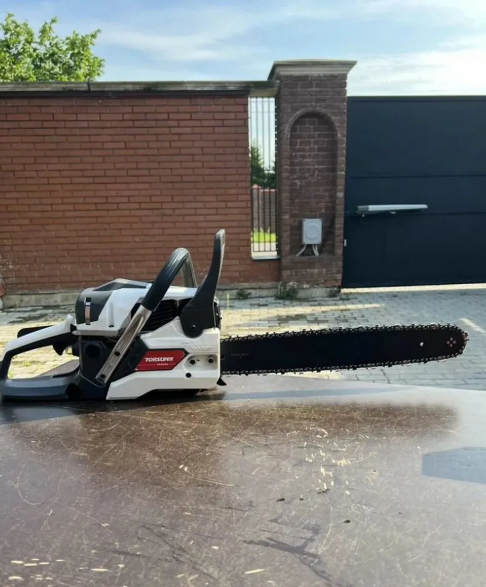 Chainsaw Torsun - Image 1