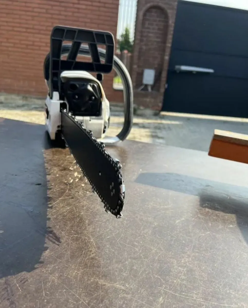 Chainsaw Torsun - Image 2