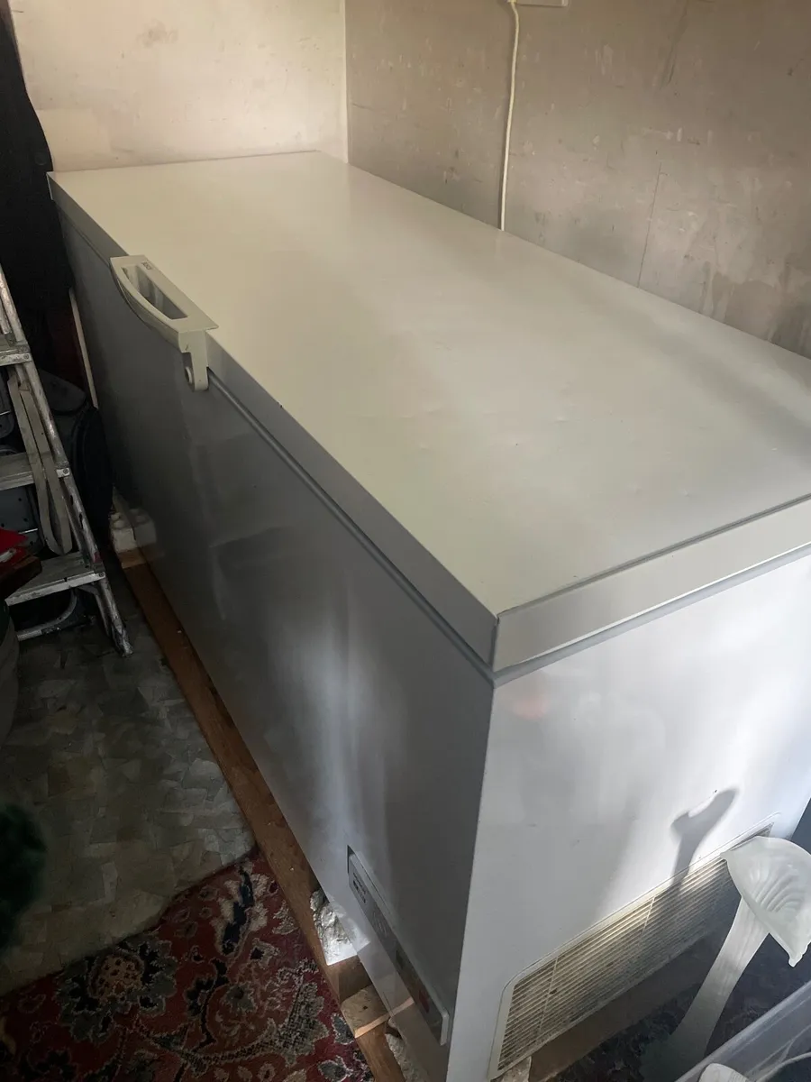 Large Chest Freezer - Image 4