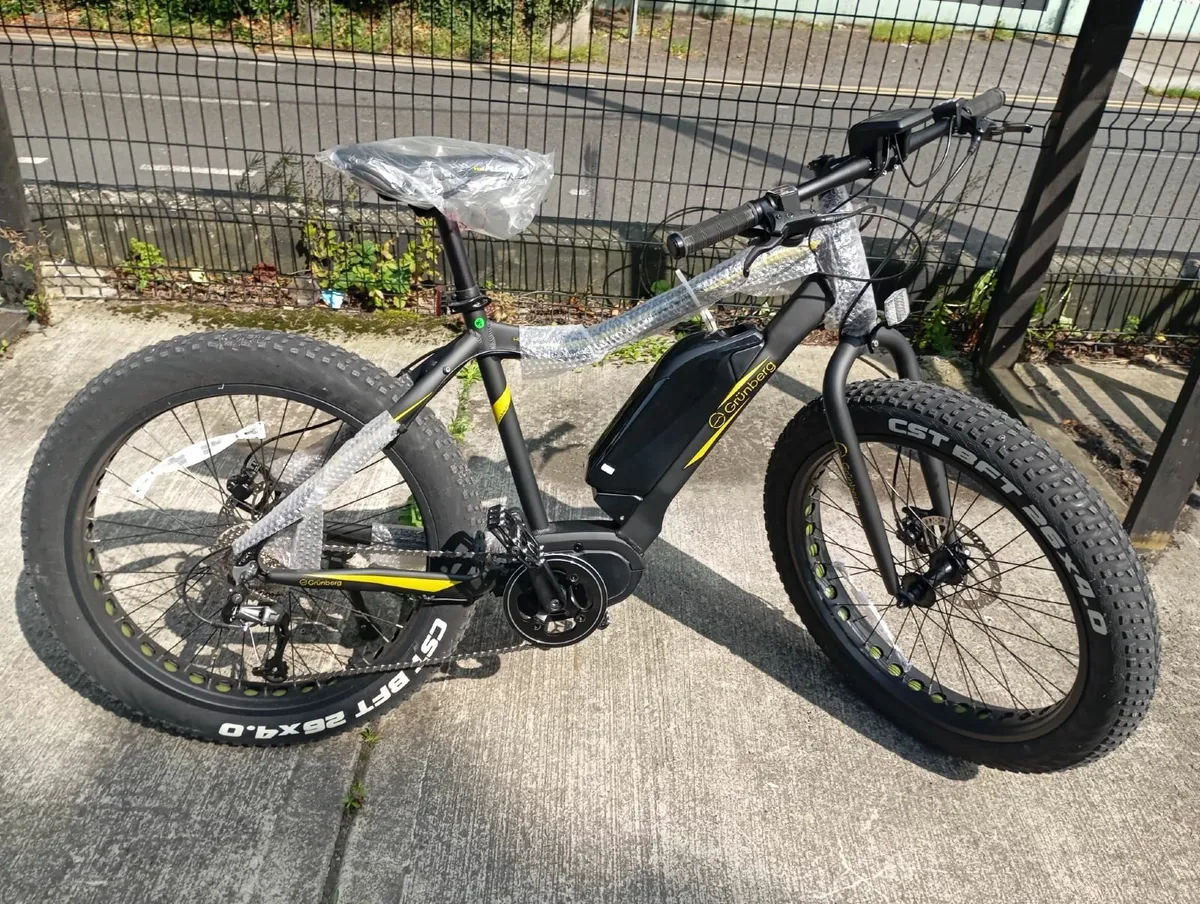 Electric Bike - Grünberg hummel - Image 2