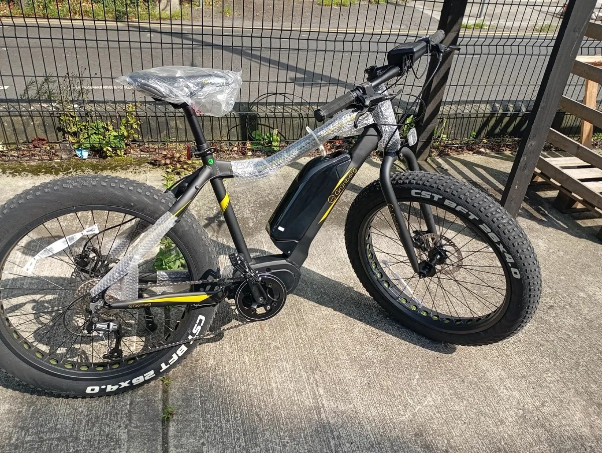 Electric Bike - Grünberg hummel - Image 3