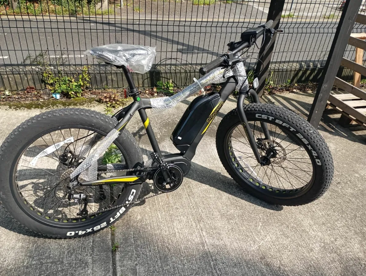 Electric Bike - Grünberg hummel - Image 4