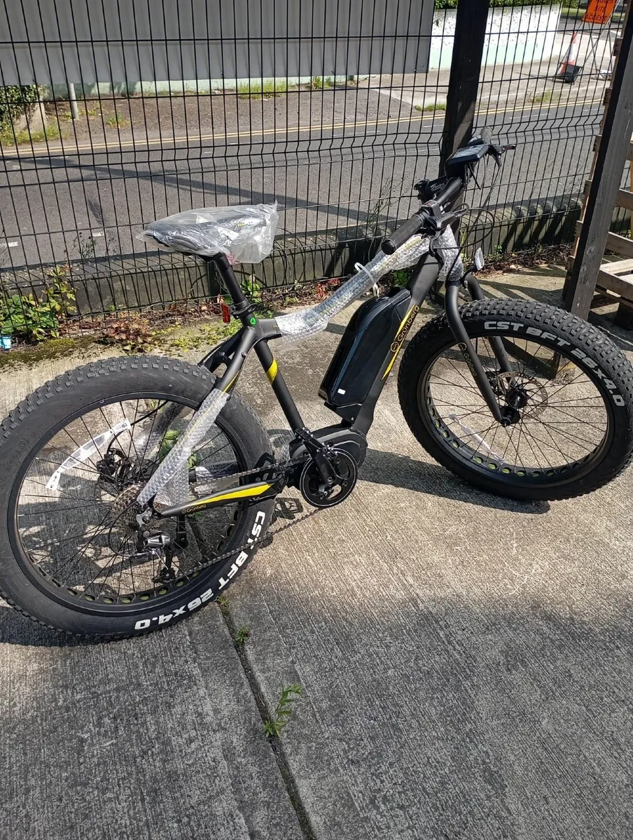 Electric Bike - Grünberg hummel - Image 1