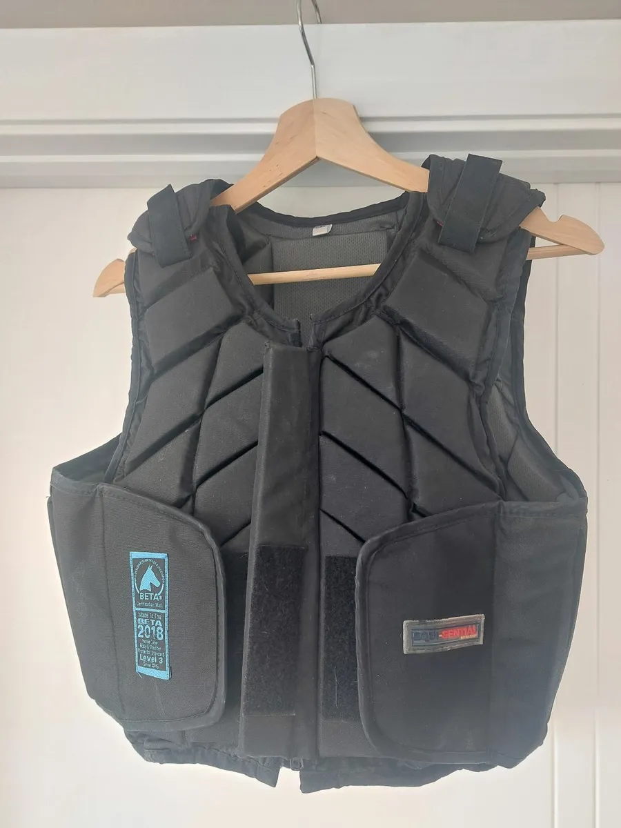 Back Protector - Image 1