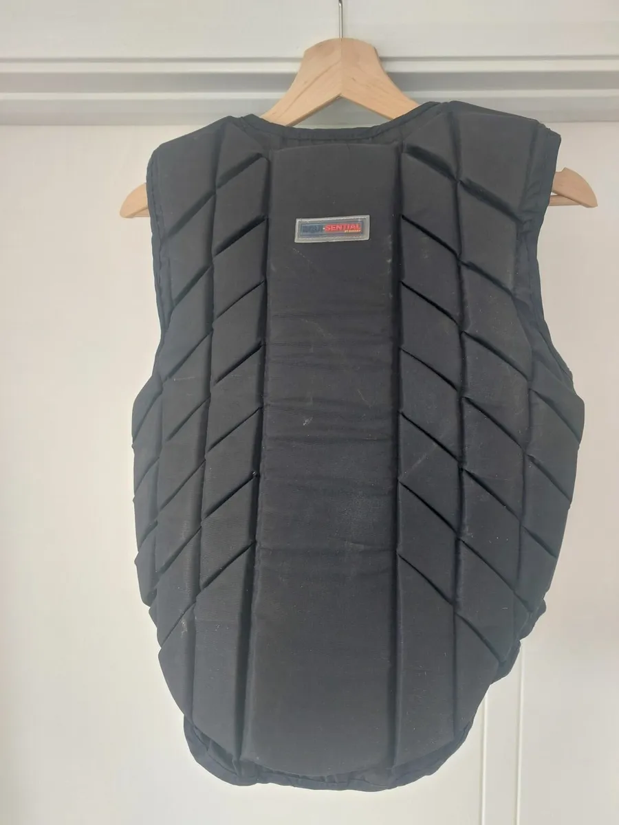 Back Protector - Image 2