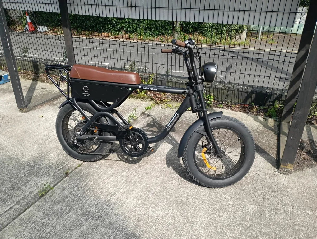 Electric Bike - Grunberg Fatbike E - Image 1