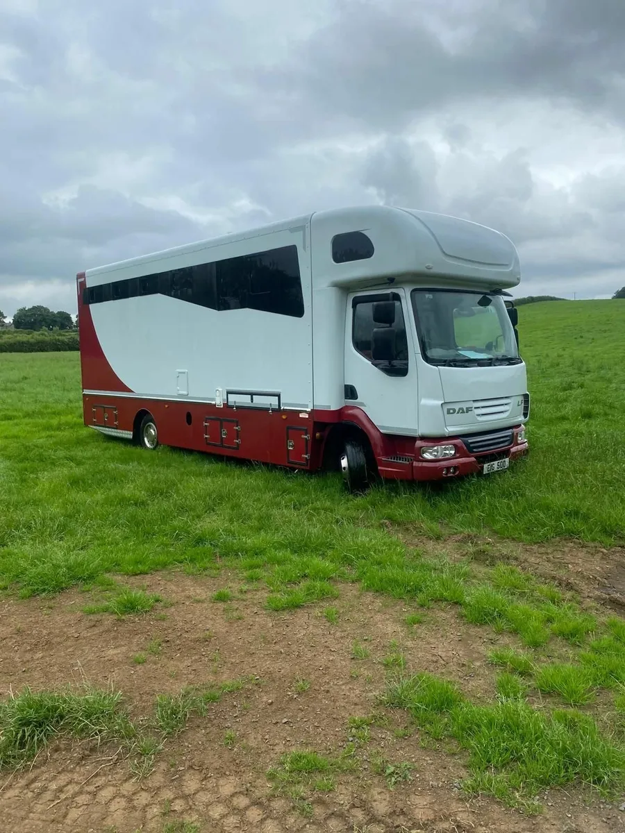 2013 Daf Horse Lorry - Image 4