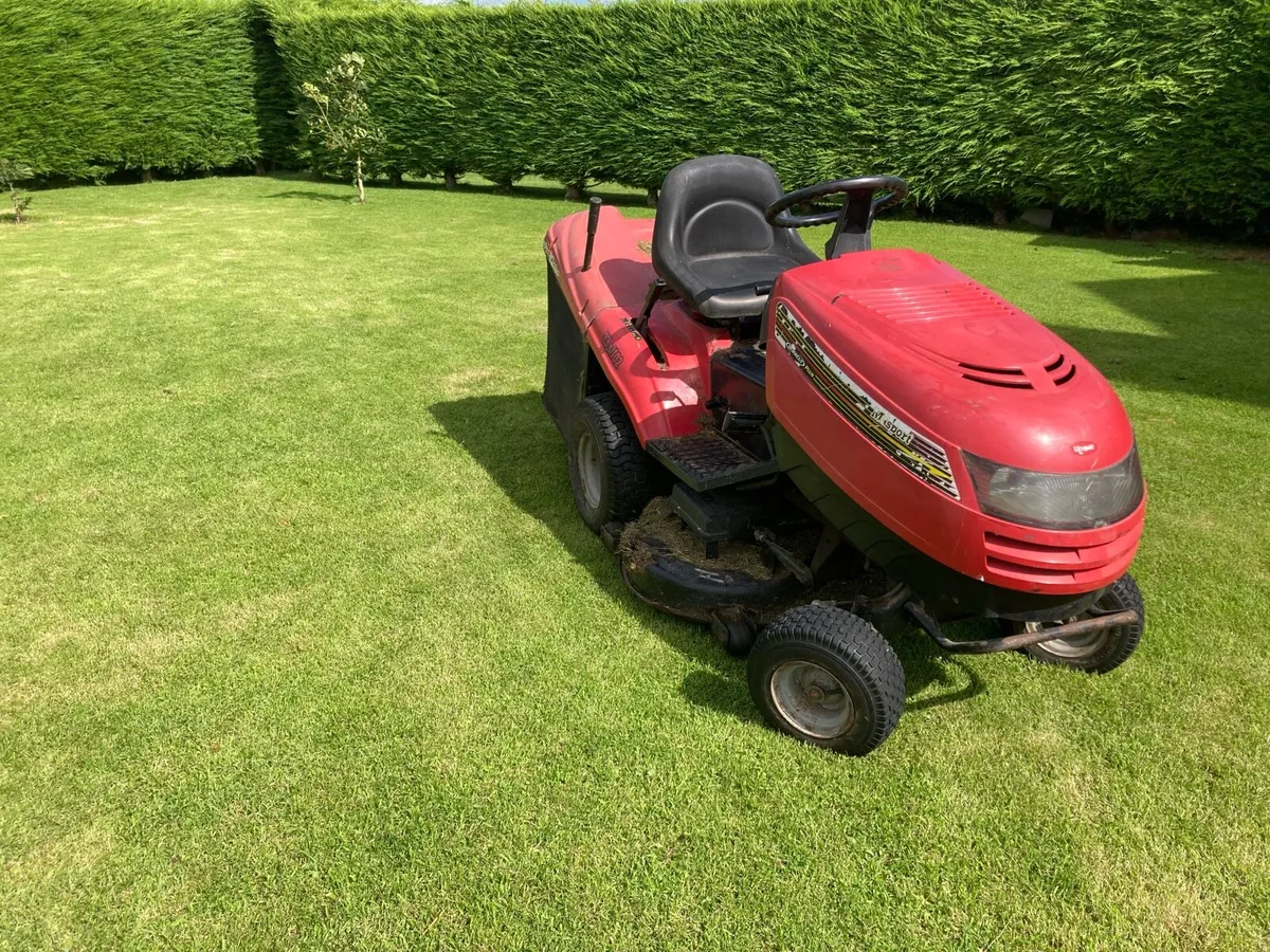 Lawnmower - Image 2