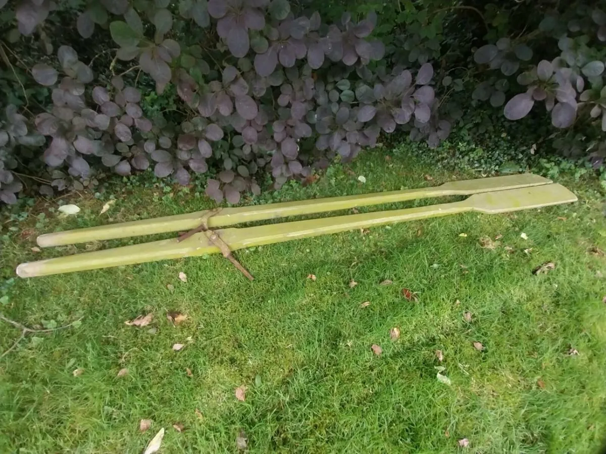 Pair of oars - Image 1