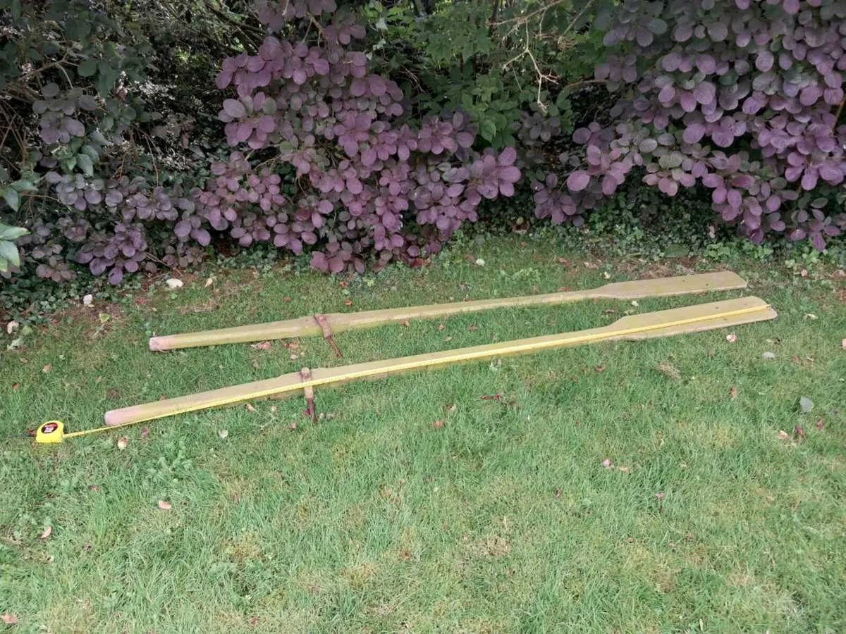 Pair of oars - Image 2