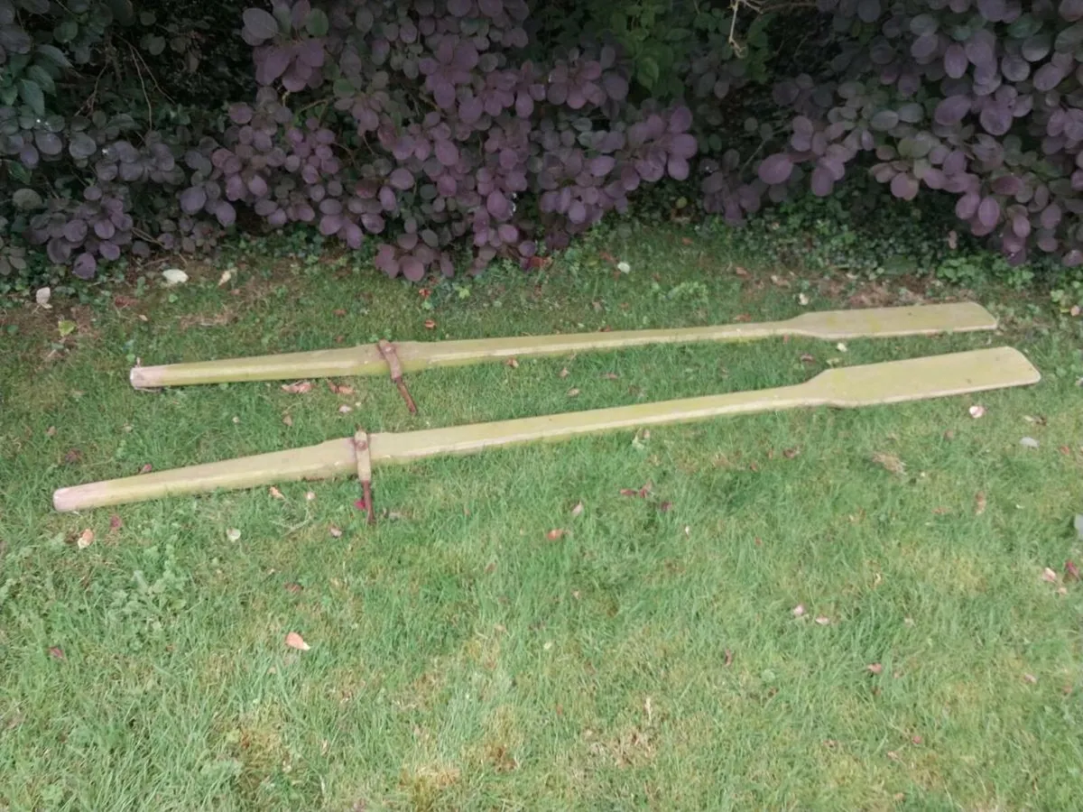Pair of oars - Image 3