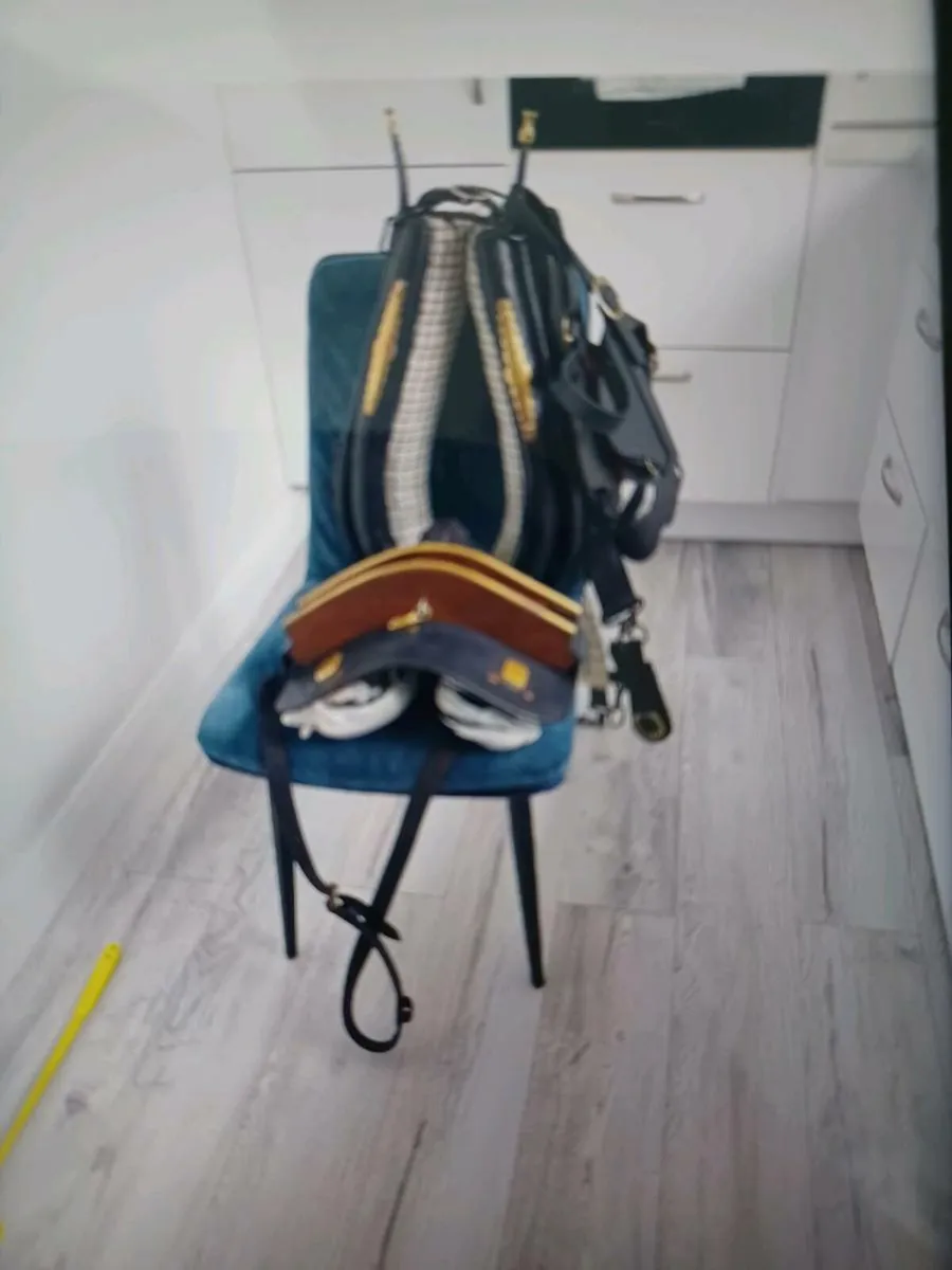 Donkey harness - Image 1
