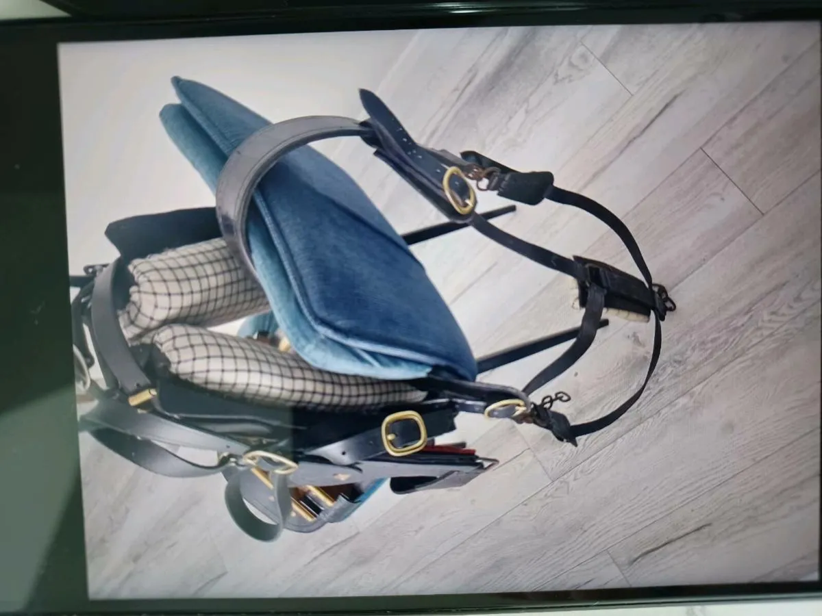 Donkey harness - Image 2