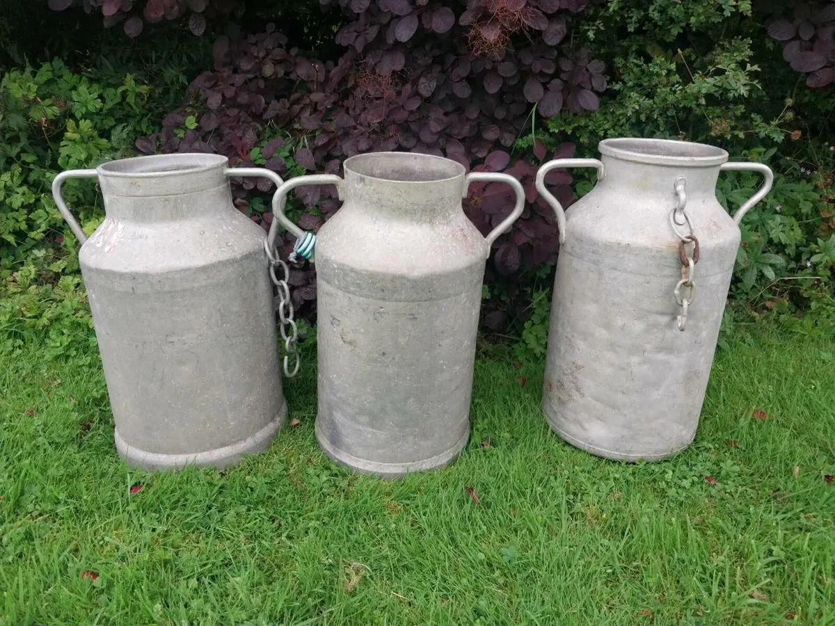 Milk churns x 3 - Image 1