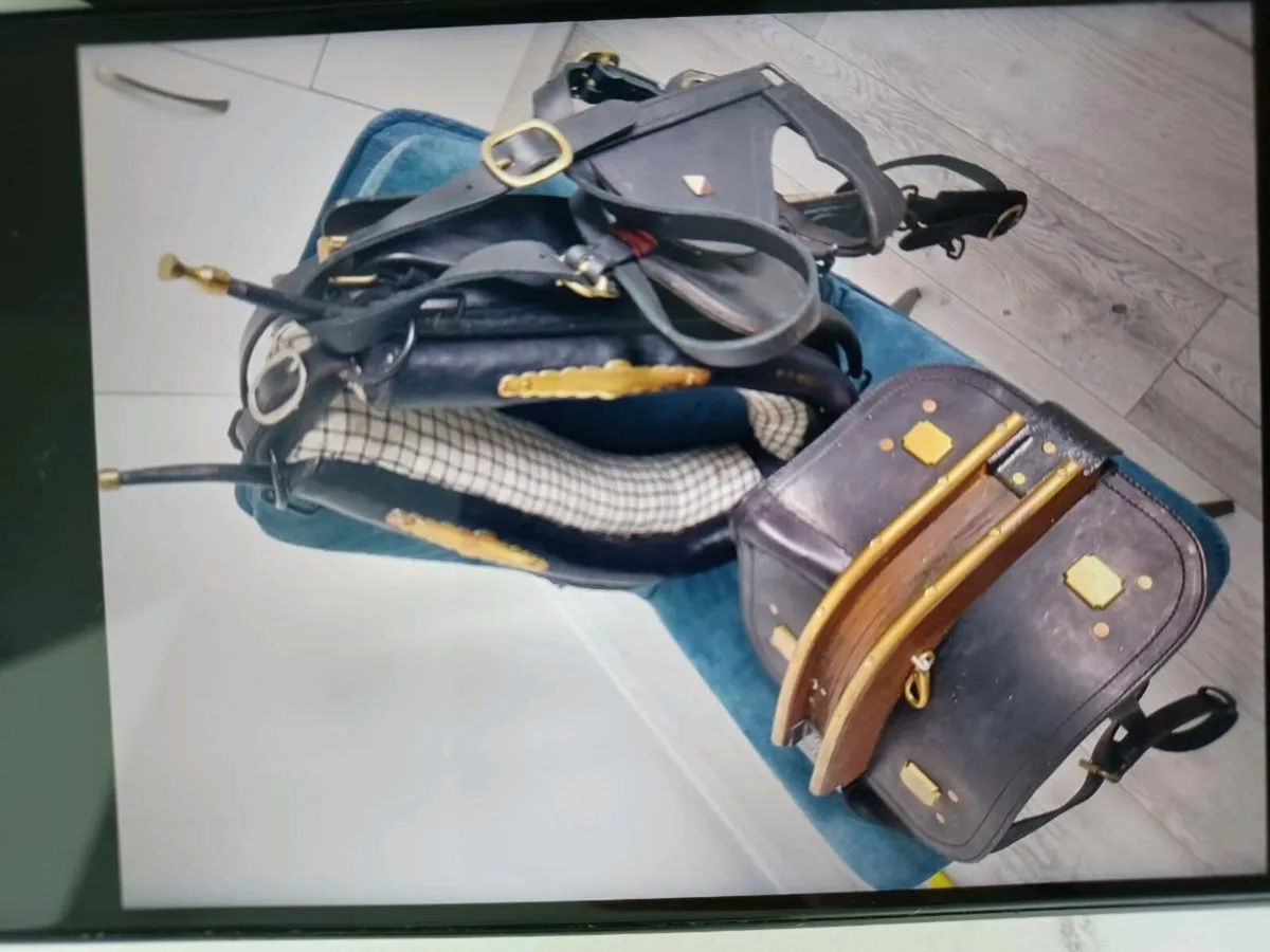 Donkey harness - Image 3