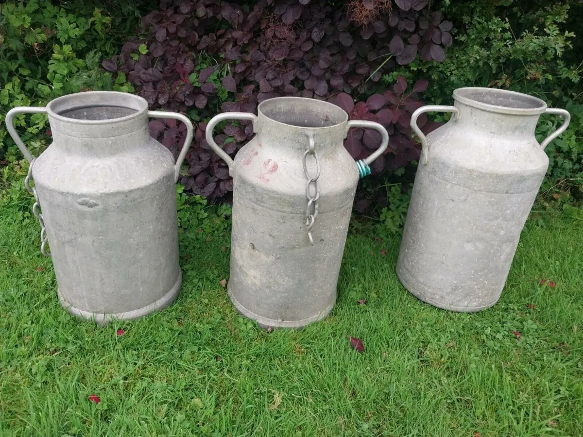 Milk churns x 3 - Image 2