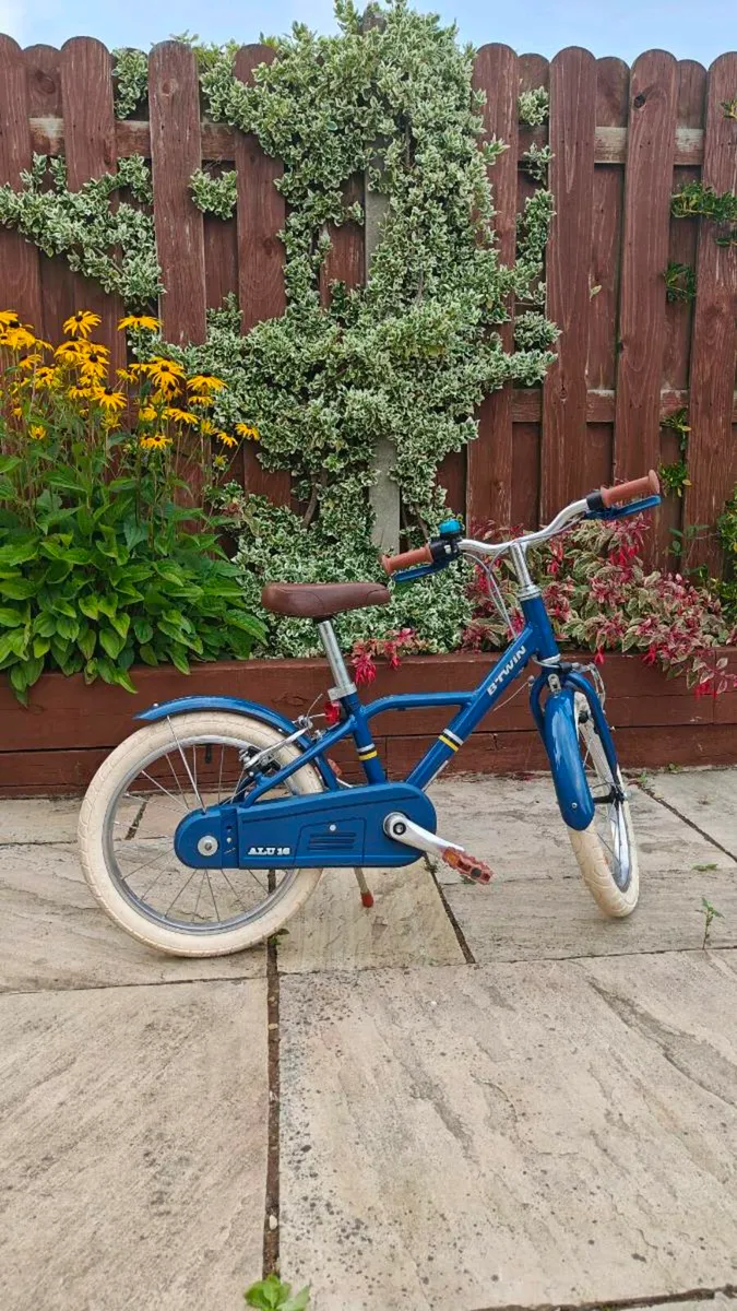 Kids 16 inch Bike - Image 1