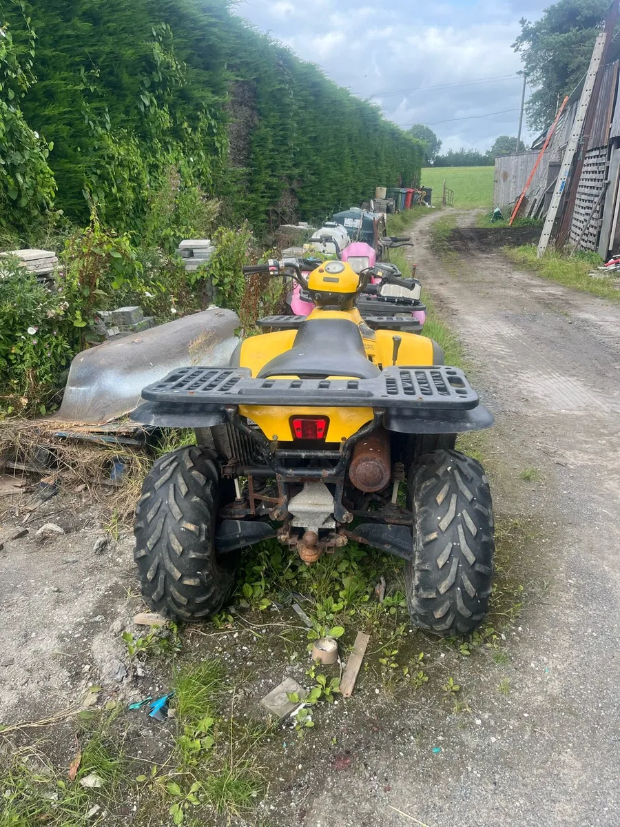 Quad Polaris sportsman 500 - Image 2