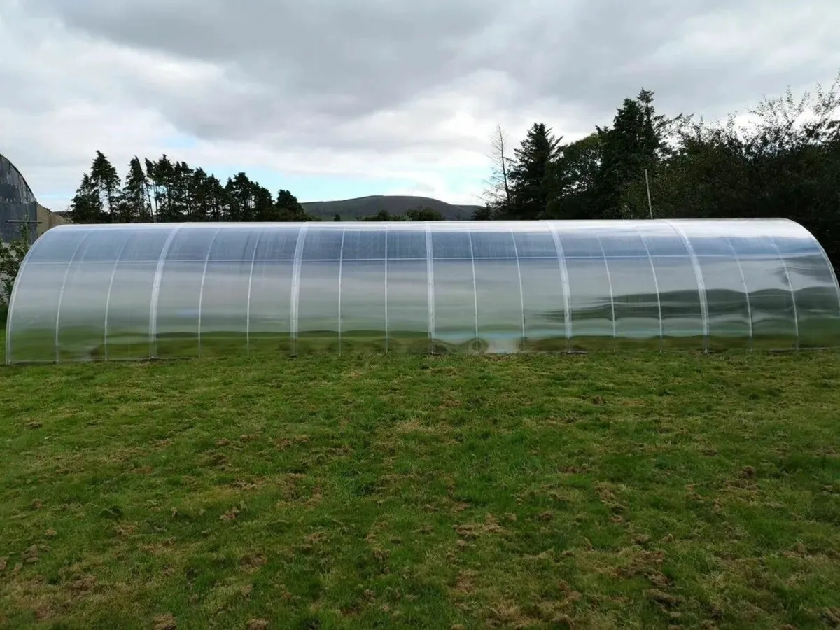 TITAN 4 Polycarbonate Greenhouse/Polytunnel - Image 3