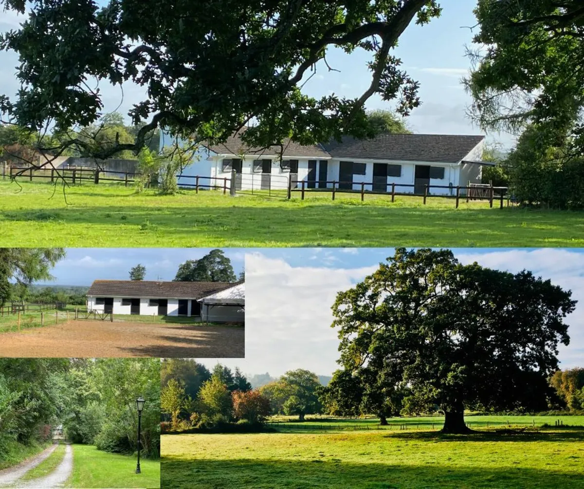 EQUESTRIAN YARD FOR LEASE DURROW, CO LAOIS - Image 1