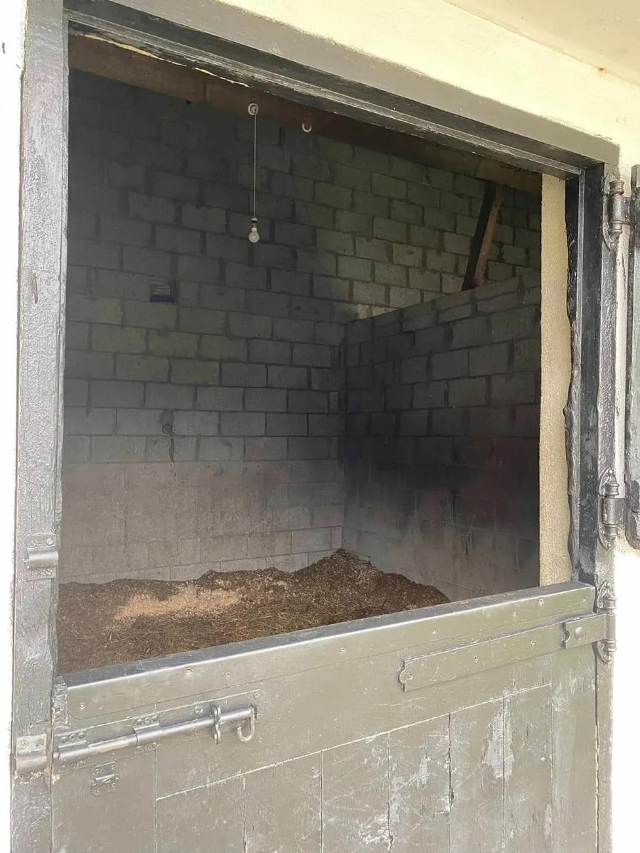 EQUESTRIAN YARD FOR LEASE DURROW, CO LAOIS - Image 2
