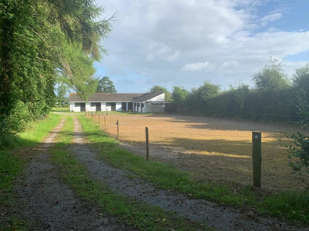 EQUESTRIAN YARD FOR LEASE DURROW, CO LAOIS - Image 4