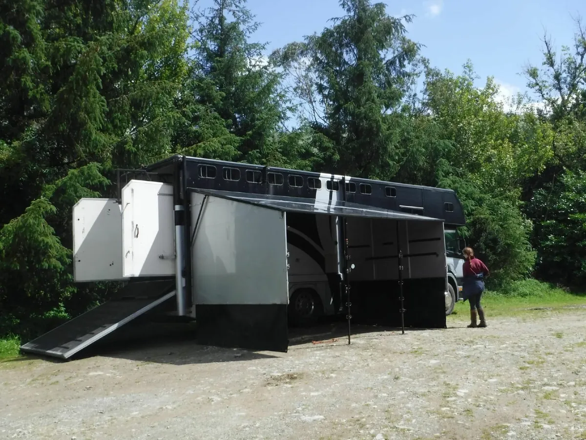 Scania Horsebox - Image 3
