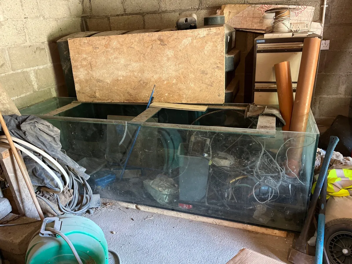Fish tank Aquarium