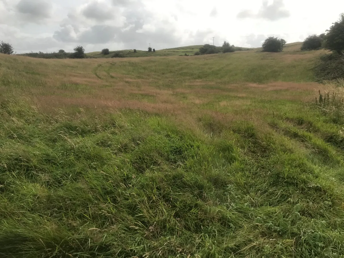 Meadows for hay or silage. - Image 1