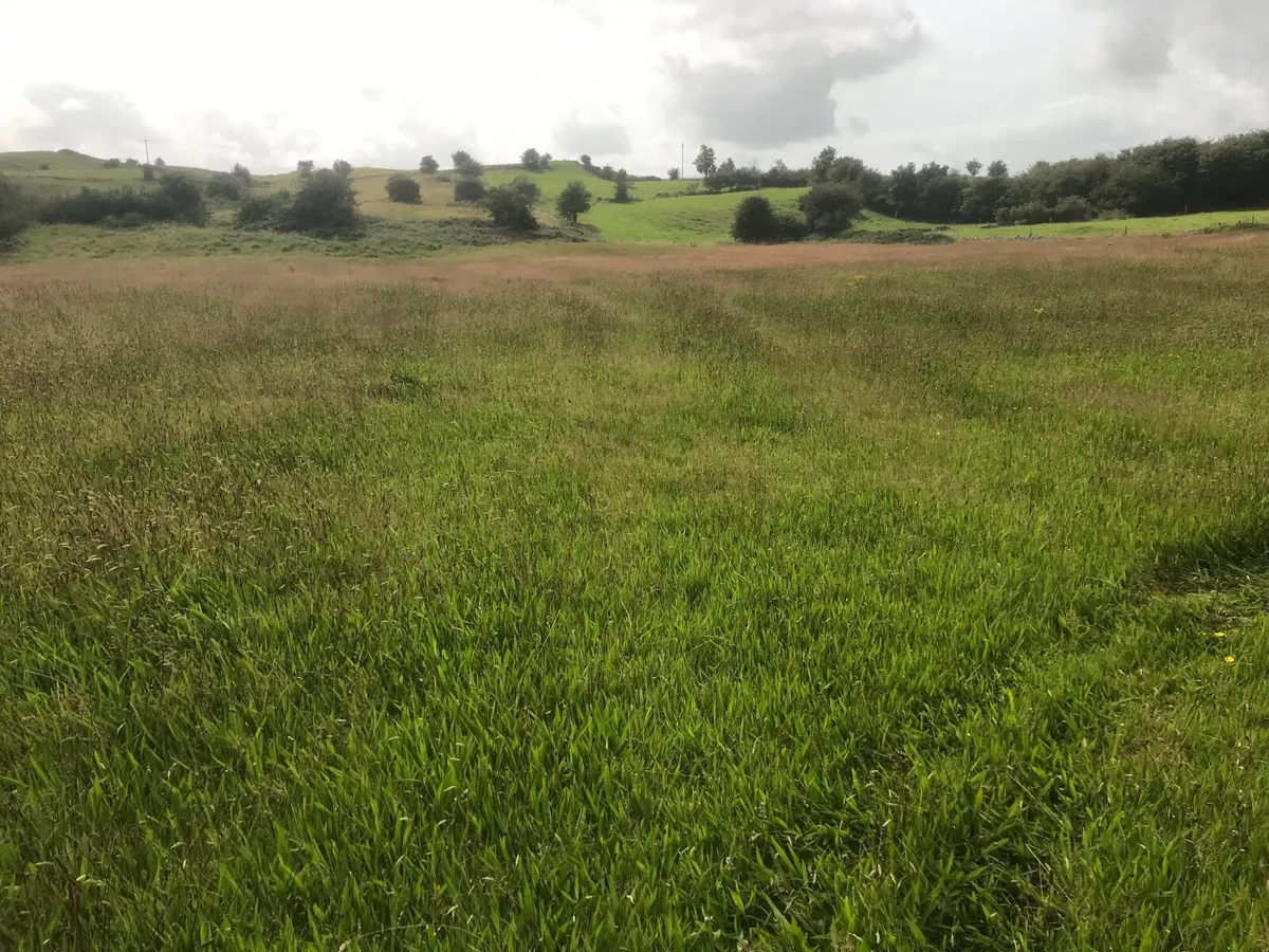 Meadows for hay or silage. - Image 2