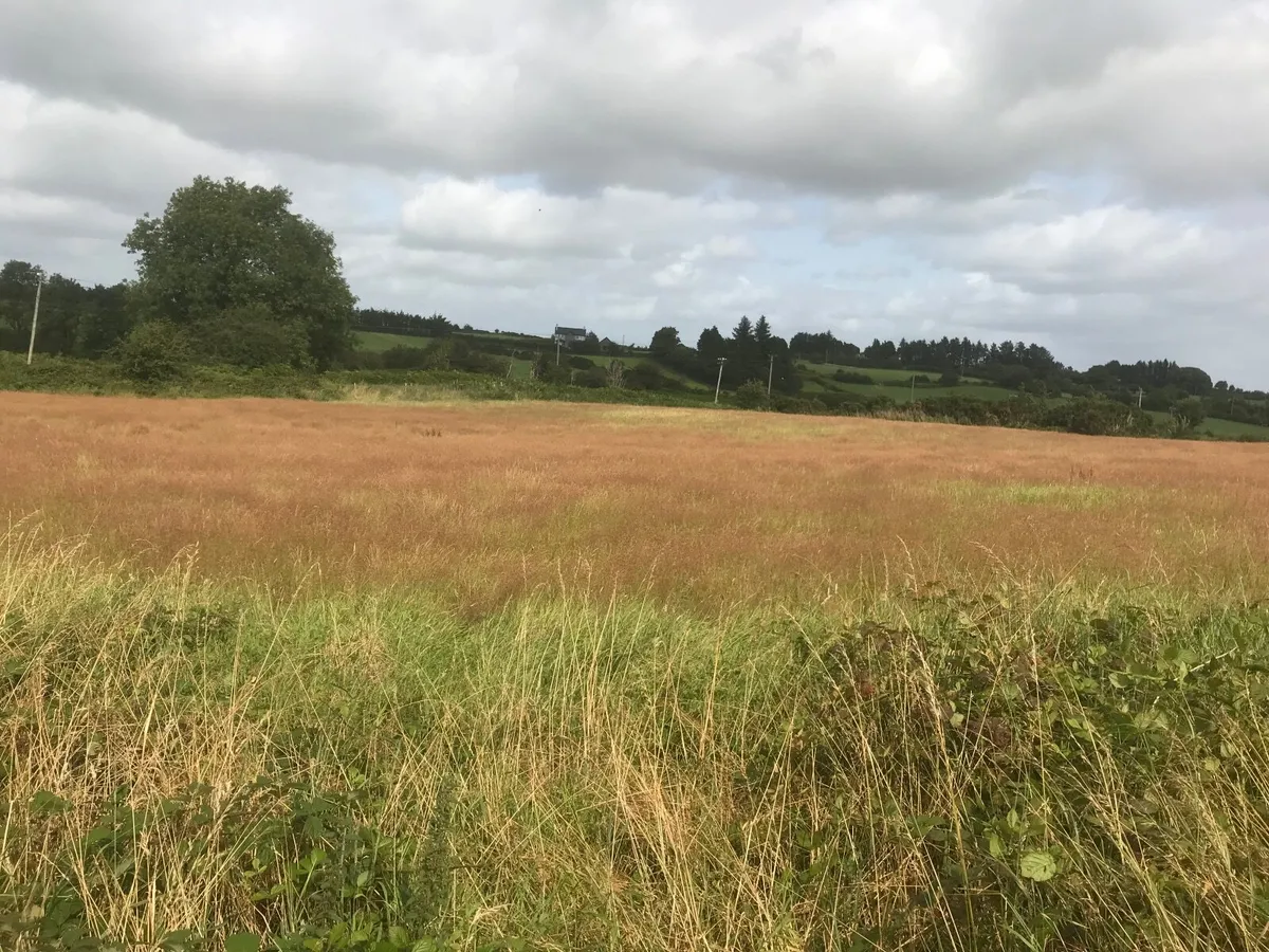 Meadows for hay or silage. - Image 3
