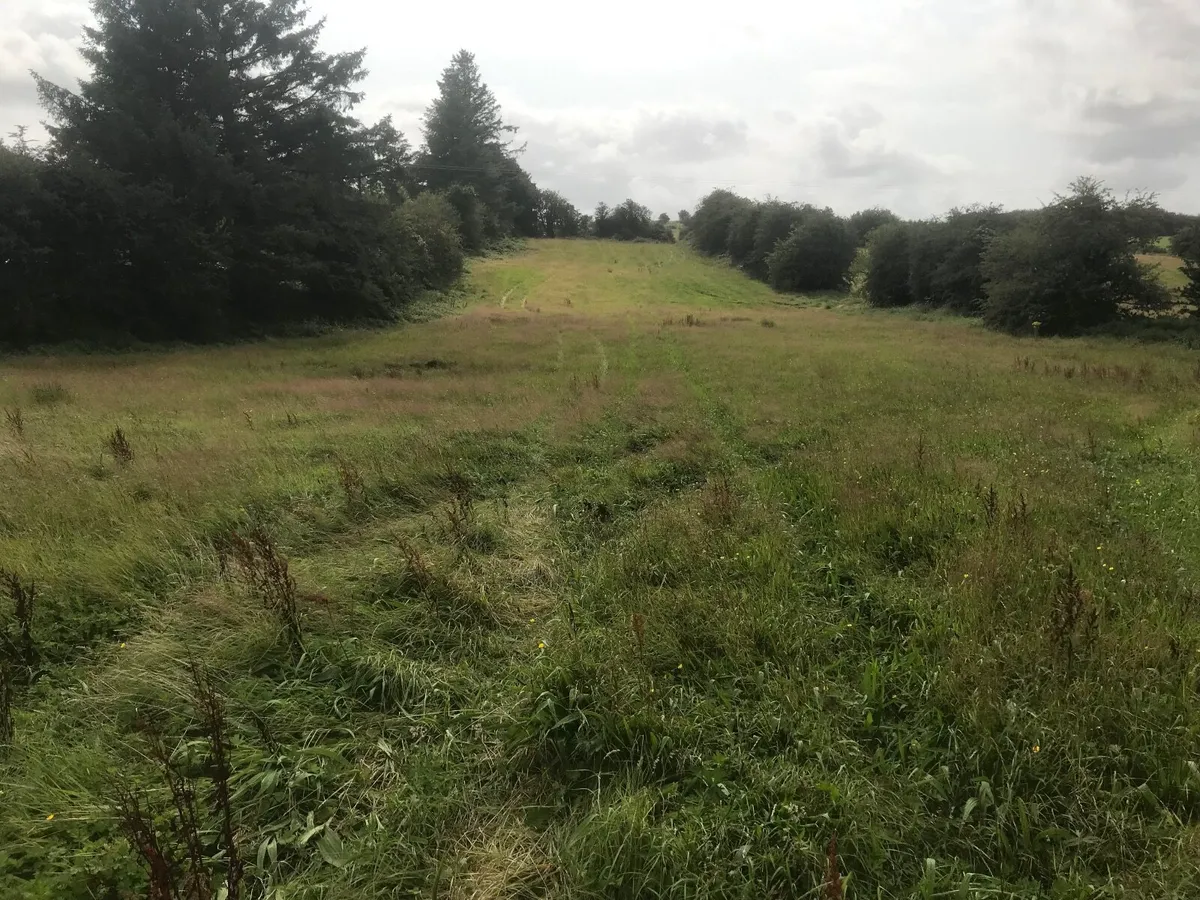 Meadows for hay or silage. - Image 4
