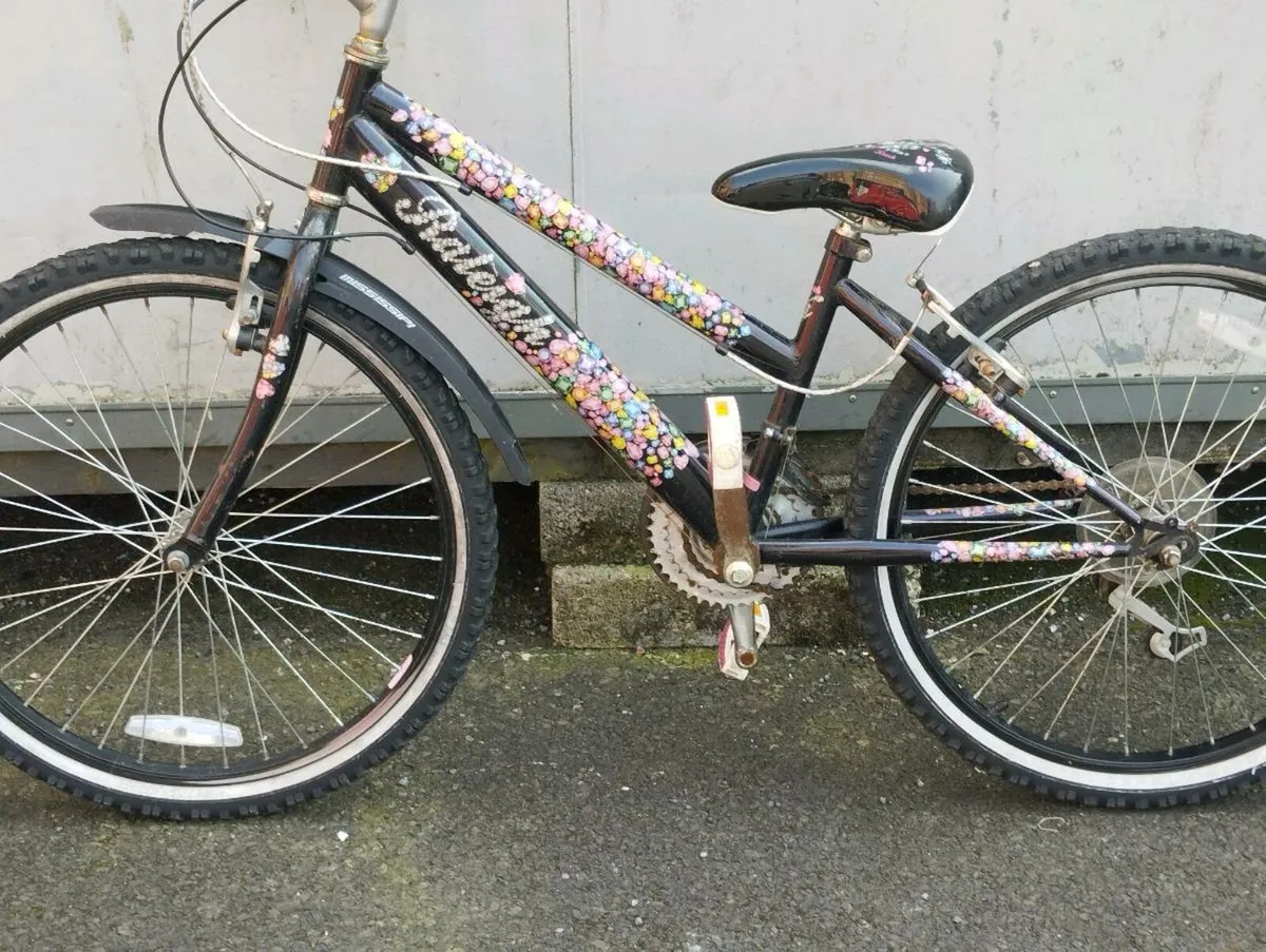 Girls 24inch Raleigh - Image 2