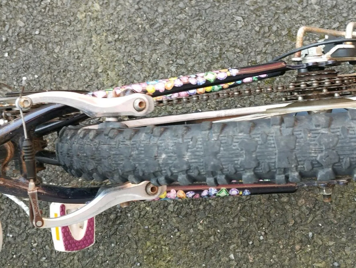 Girls 24inch Raleigh - Image 4