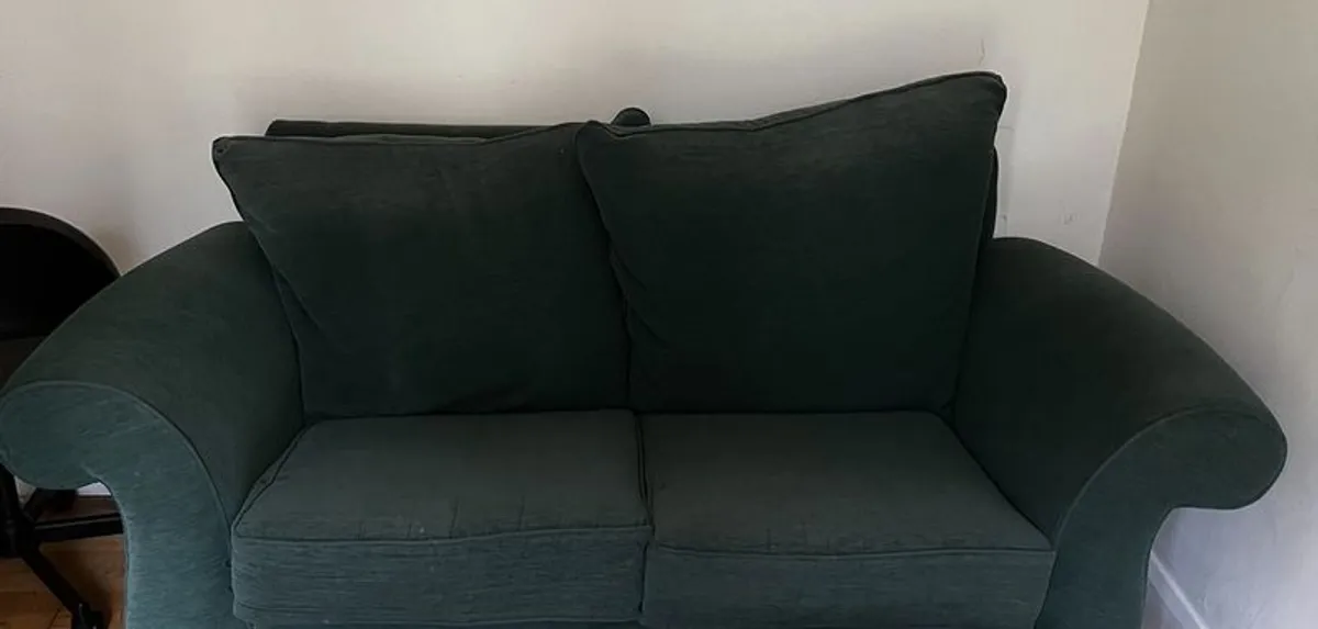 Reduced Green couch 2 seater sofa - Image 3