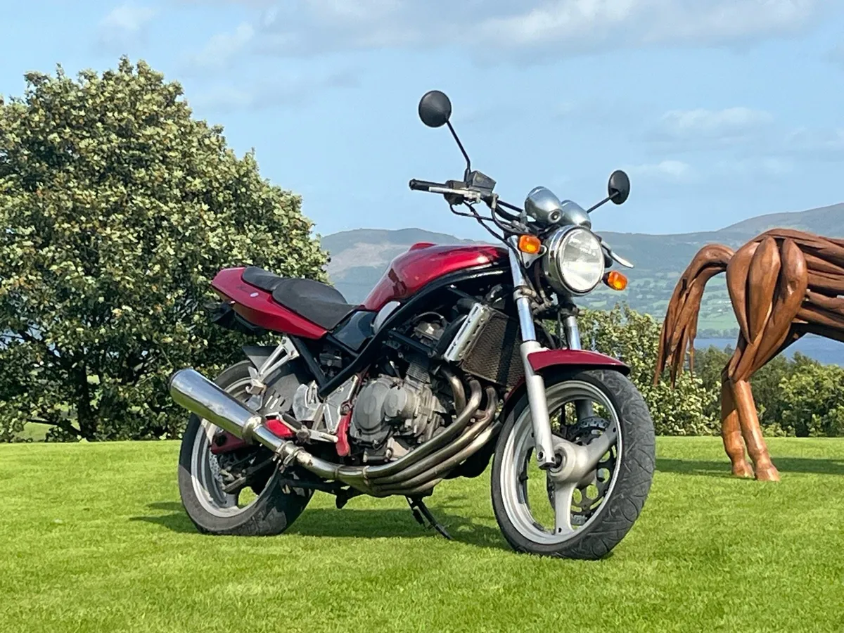 Suzuki bandit 250 - Image 2