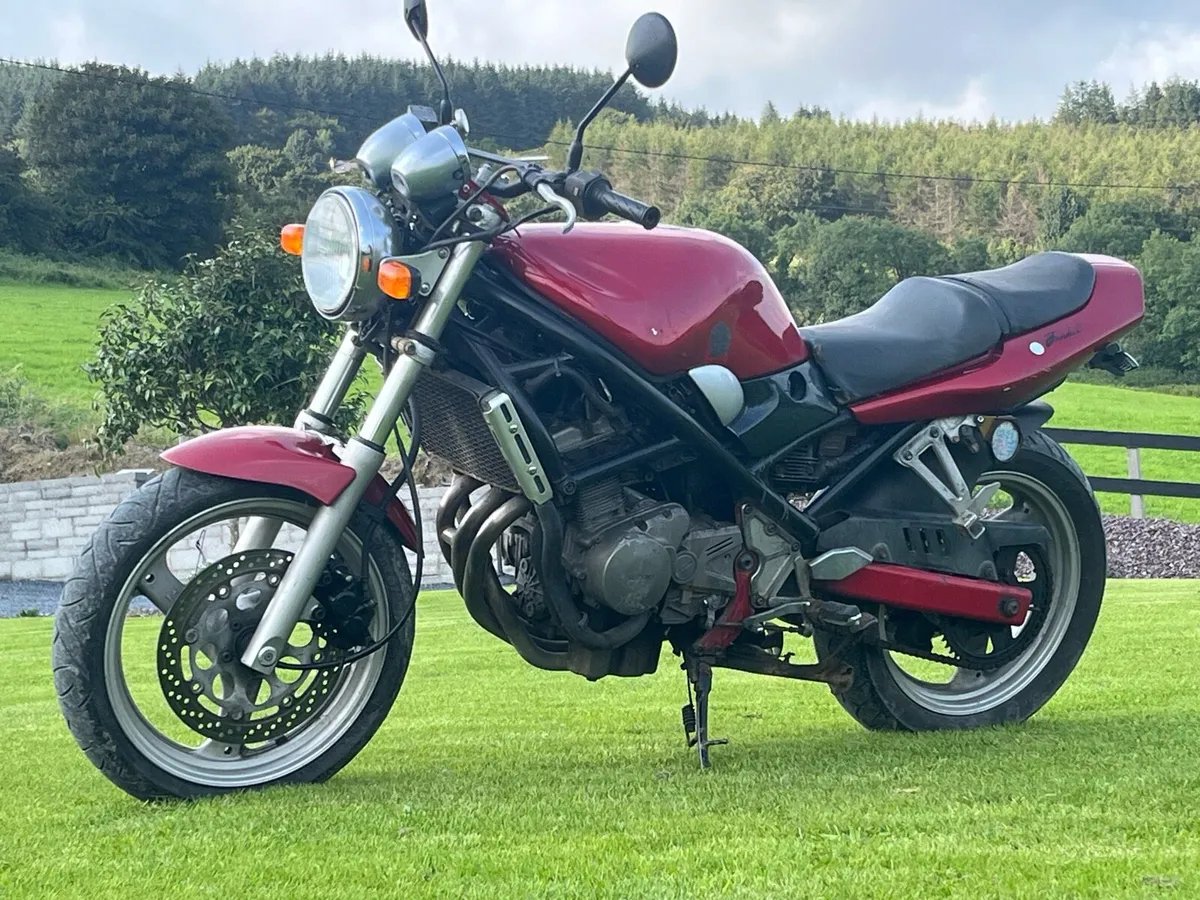 Suzuki bandit 250 - Image 3