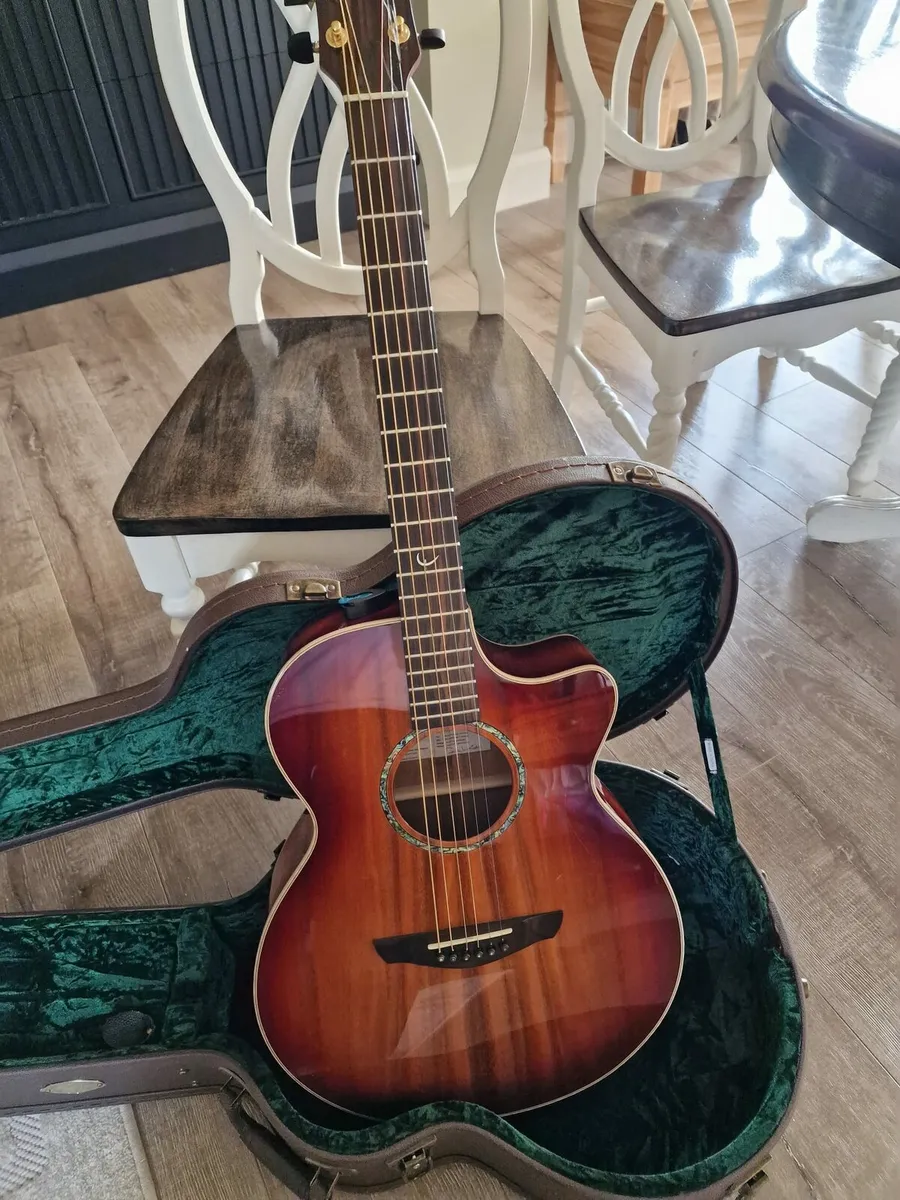 Guitar - Image 1