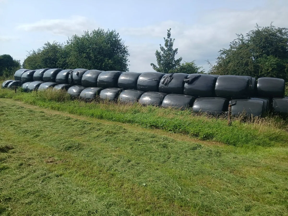 Bales for Sale