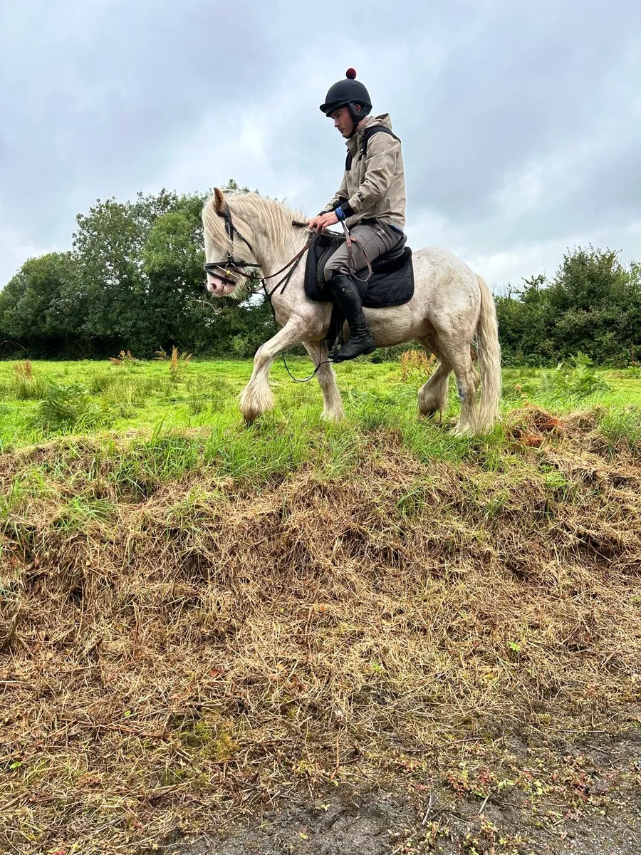 Red Blagdon Ride and Drive - Image 2