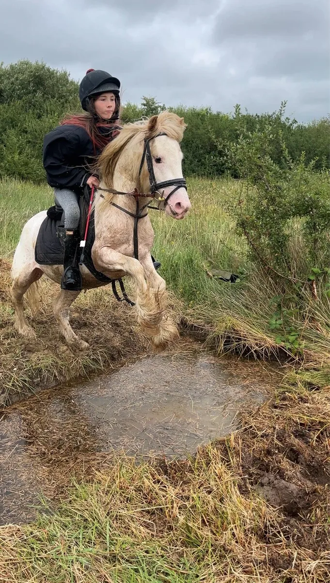 Red Blagdon Ride and Drive - Image 1