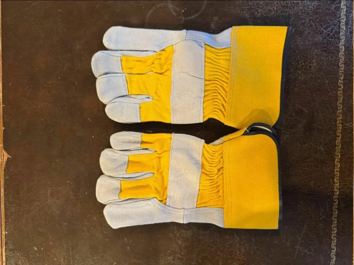 gloves