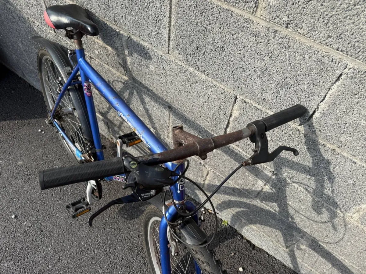 Bicycle for Sale – Price Negotiable - Image 3