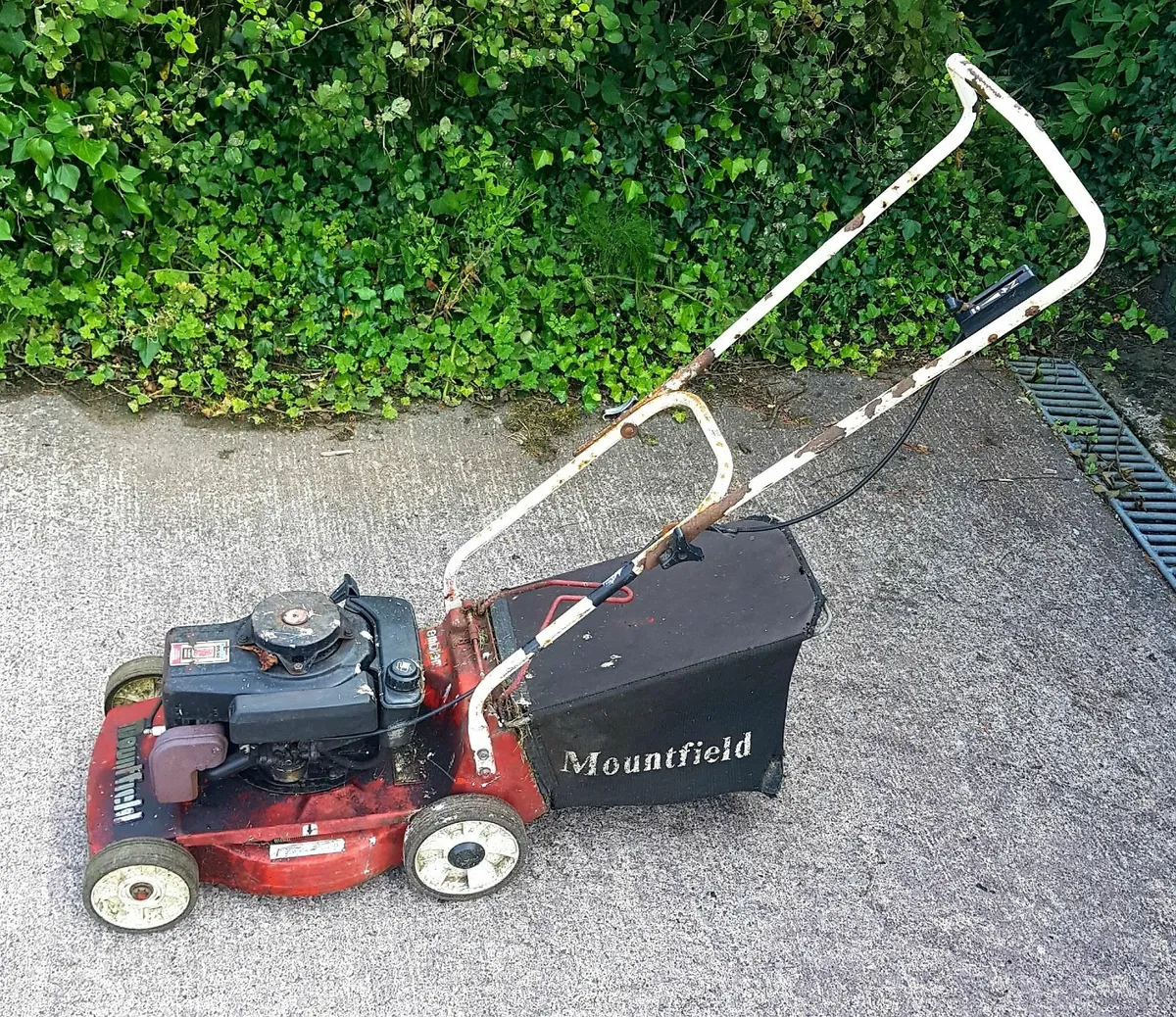 Lawnmower - Image 1
