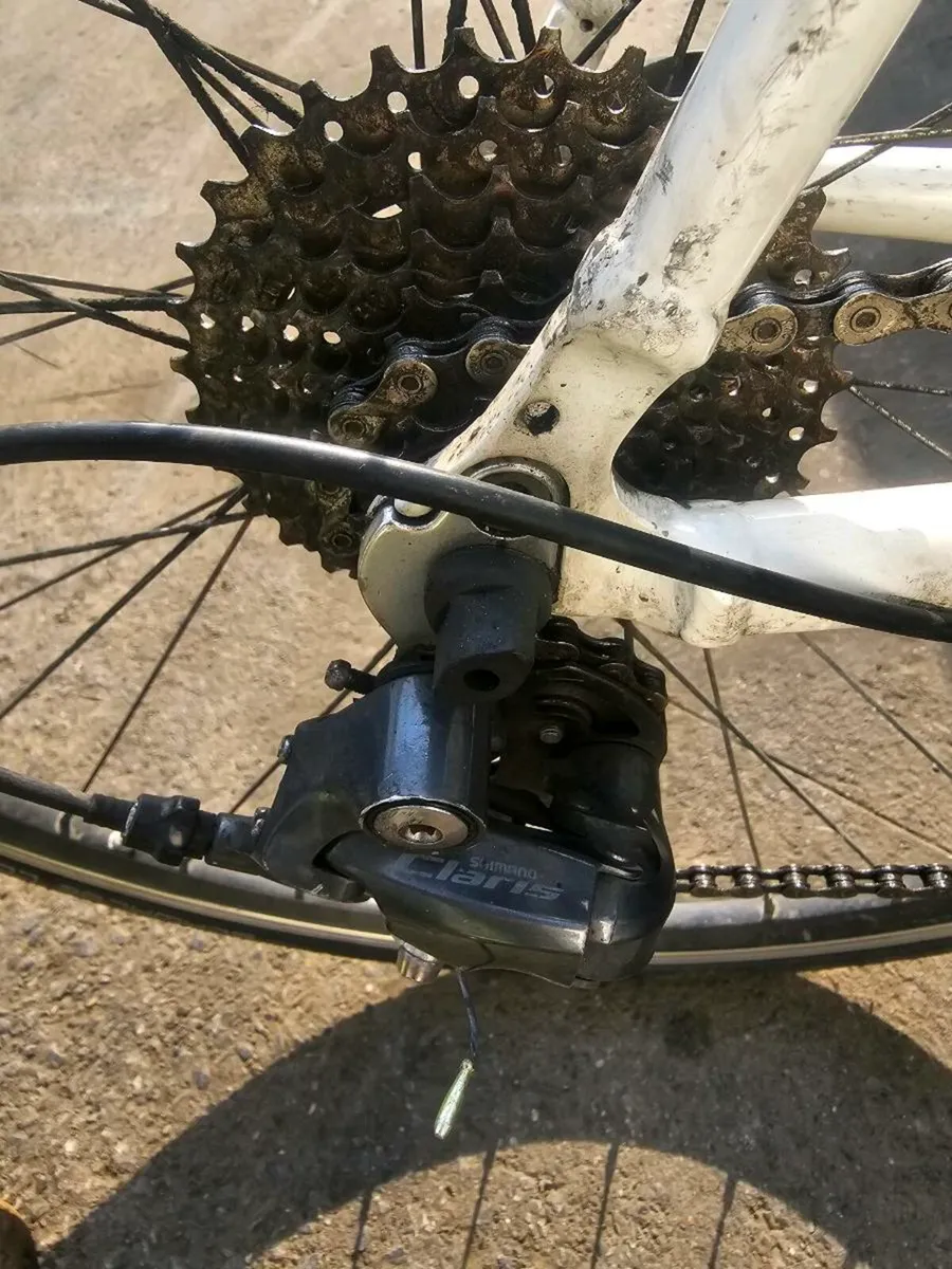 Carrera vertuoso road bike - Image 3