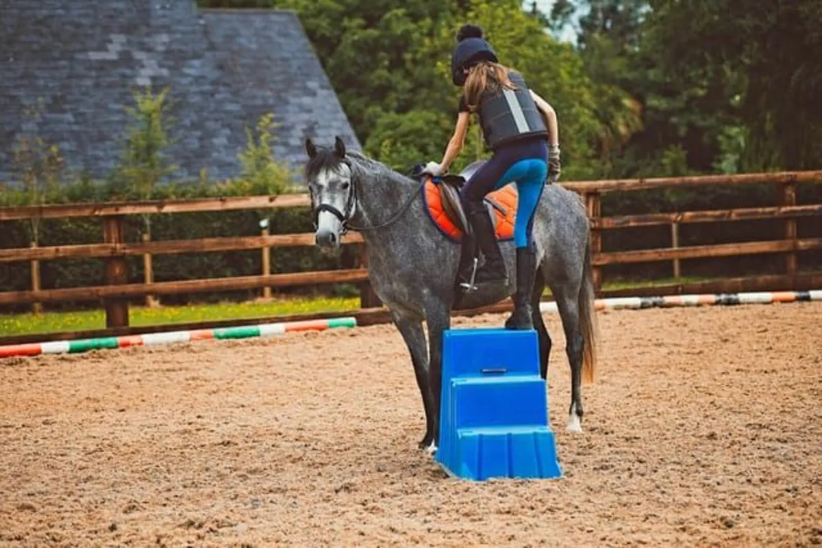 Super Kids Pony - Image 2