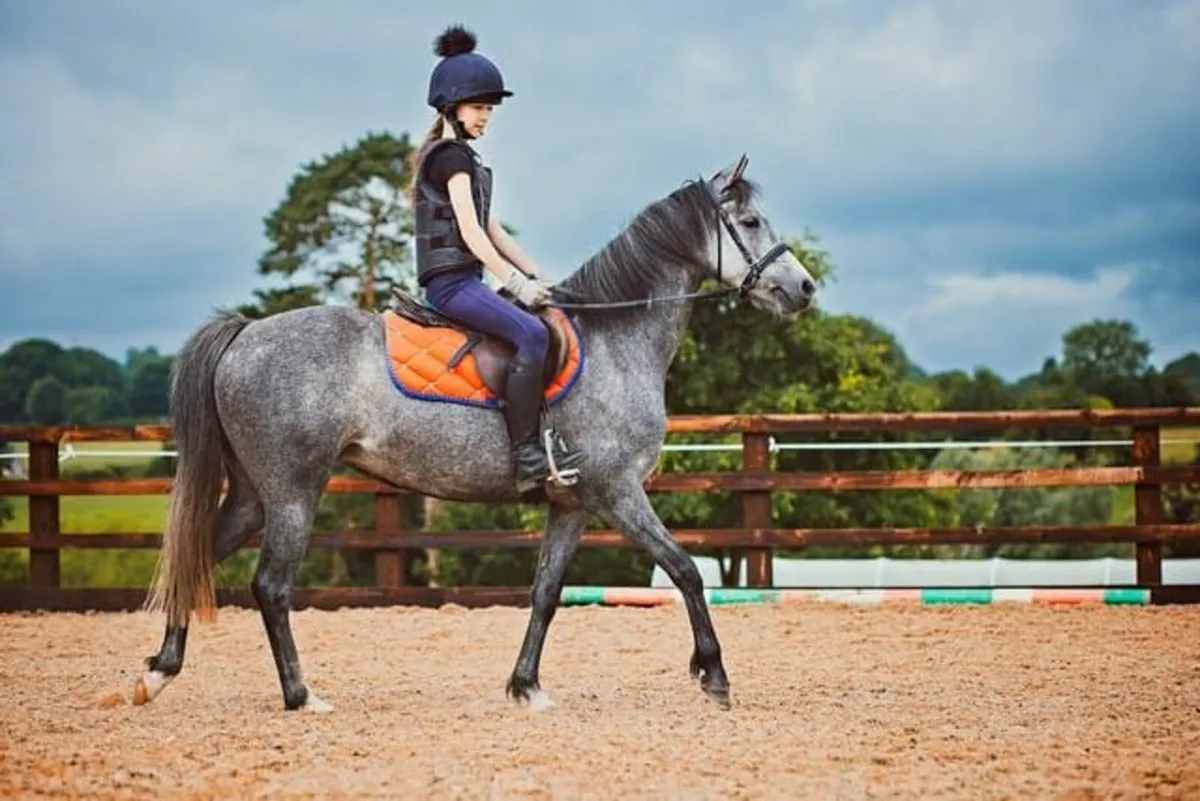 Super Kids Pony - Image 3