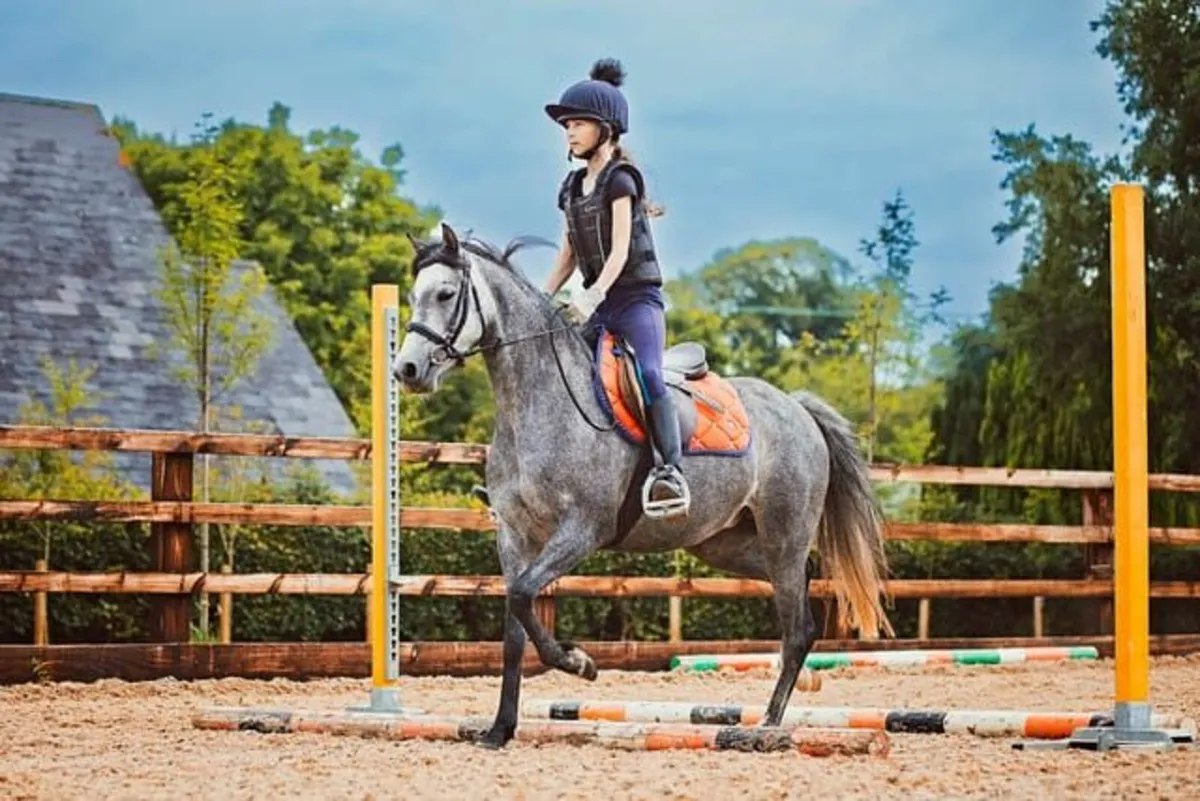 Super Kids Pony - Image 4